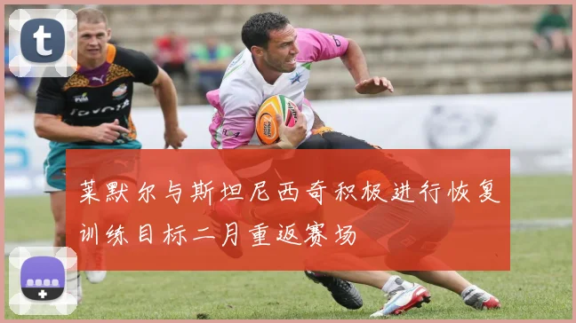 莱默尔与斯坦尼西奇积极进行恢复训练目标二月重返赛场