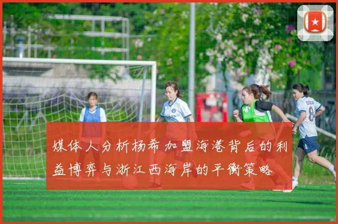 媒体人分析杨希加盟海港背后的利益博弈与浙江西海岸的平衡策略